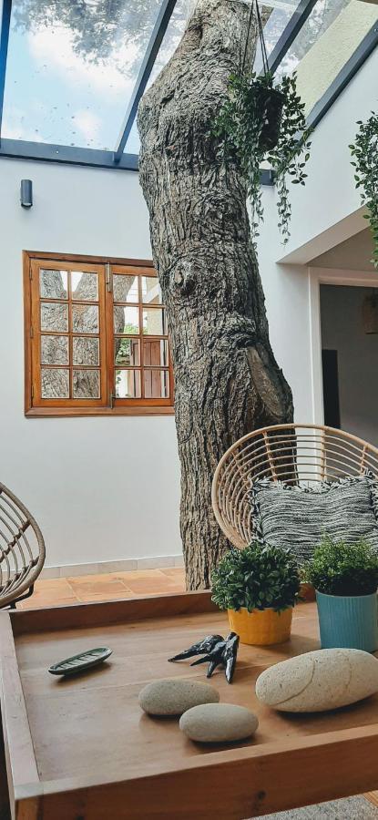 Beach Tree House 圣港 外观 照片